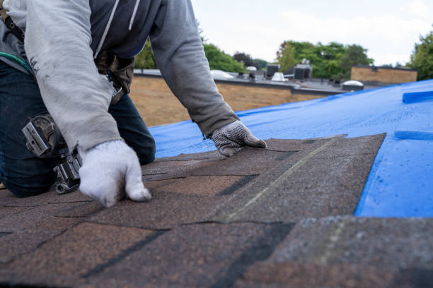 Best Gutter Installation and Roofing  in Marmet, WV